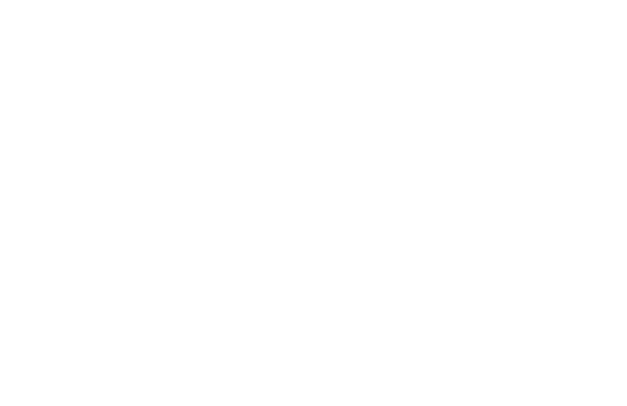 Logo Preview